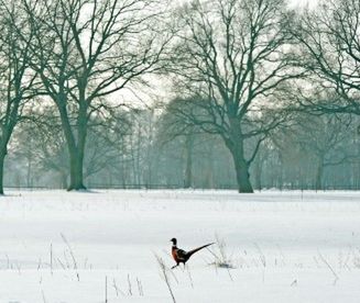 Nadchodzi wielka zmiana pogody - prognoza długoterminowa
