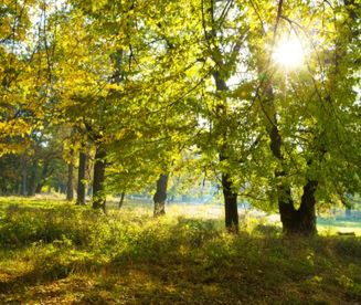 Pogodowe skrajności marca