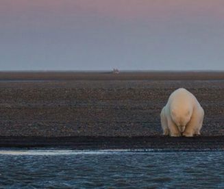 Skutki zmian klimatycznych na Ziemi