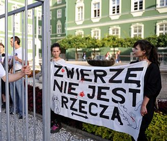 Protest przeciwko wykorzystywaniu zwierząt w cyrkach