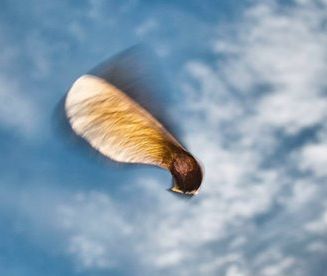 Prognoza długoterminowa - zmiana pogody