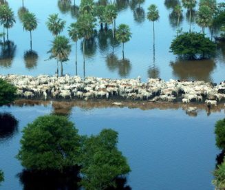 Co z tegorocznym "El Nino"?