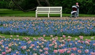 Najważniejsze wydarzenia 2014 roku w pogodzie