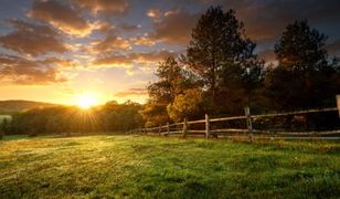 Wiosna przyjdzie już w lutym? Bywa różnie...