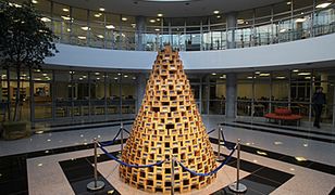 Niezwykła choinka w Olsztynie
