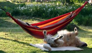 Prognoza sezonowa - zimnawy maj, dalej ciepło