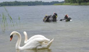 Sezonowa prognoza pogody