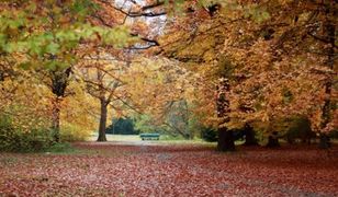 Pogodowa charakterystyka września w Polsce