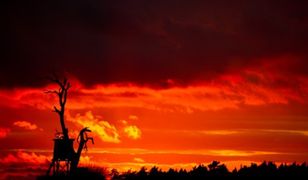 Prognoza długoterminowa - nie będzie źle!