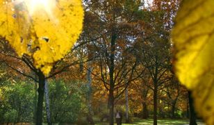 Prognoza długoterminowa - anomalia pogodowa!