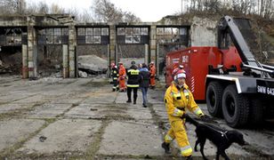 Zawalił się strop w starym magazynie