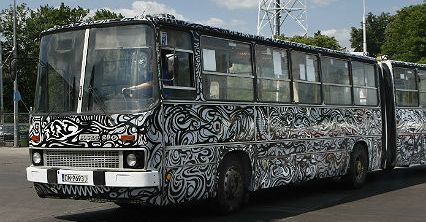 Autobus jak zebra