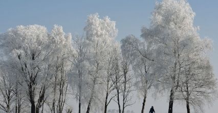 Prognoza pogody na luty 2017