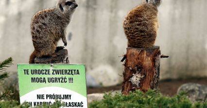Wiosna w warszawskim zoo