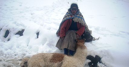 Rekordowe śnieżyce w Peru
