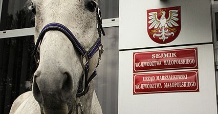 Radny Jacek Soska przyjechał na obrady na koniu