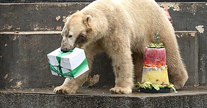 Urodziny w warszawskim zoo