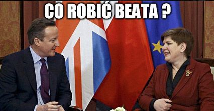 Memy po referendum w Wielkiej Brytanii
