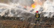 Pożar wysypiska śmieci w Leśnie Górnym