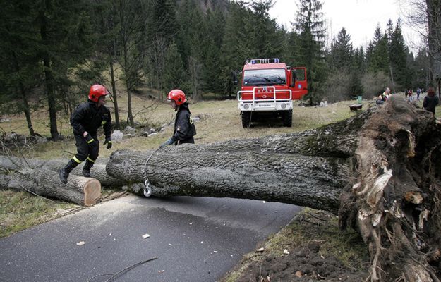 Małopolska: halny zrywał dachy i przewracał drzewa w górach
