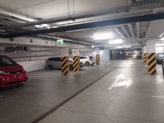 Polacy mistrzami parkowania. Stawiają auta na trawnikach, a parkingi biurowe puste