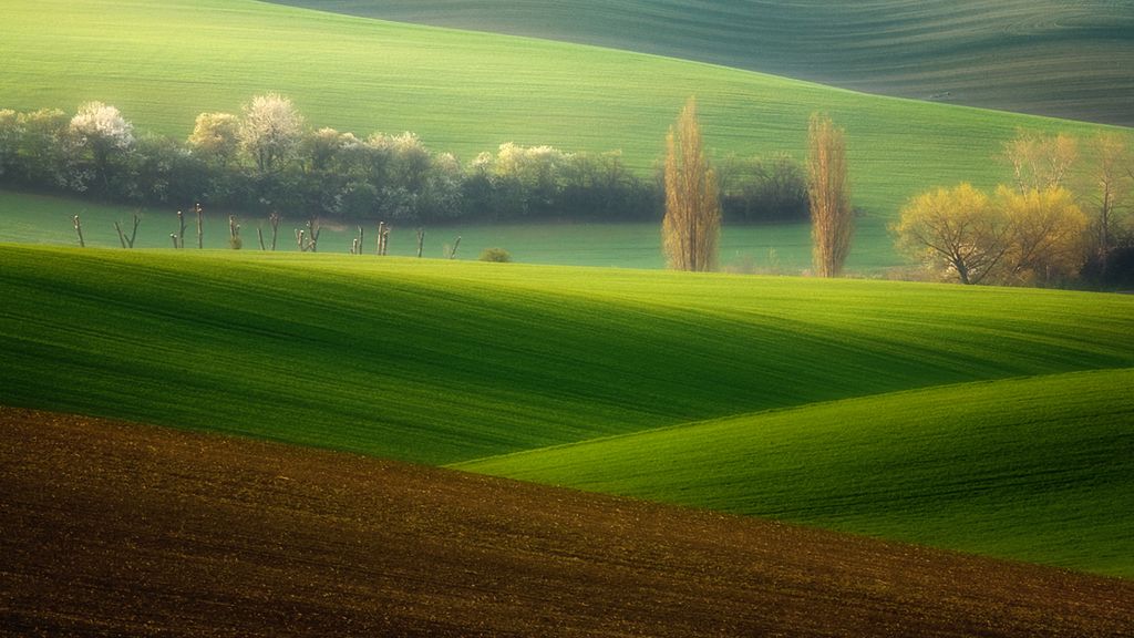 Pola i otwarte przestrzenie na zdjęciach Krzysztofa Browko 1