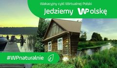 Wirtualna Polska zachęca do ekologicznego podróżowania w kolejnej edycji akcji „JedziemyWPolskę”