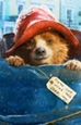 "Paddington" już na płytach DVD