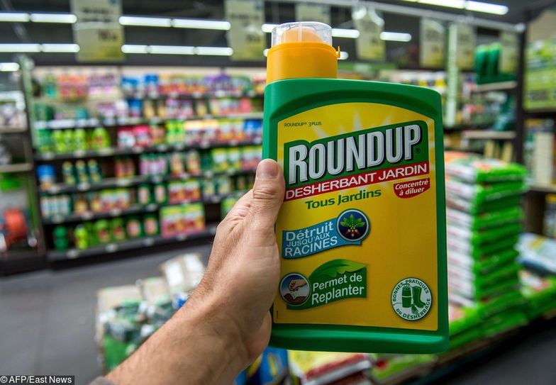Roundup stosowany jest do zwalczania chwastów. Może być też szkodliwy dla ludzi.