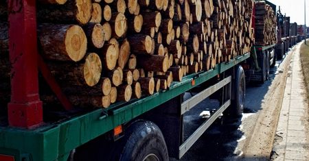 Drogi wojewódzkie rozjeżdżane przez ciężarówki z drewnem. NIK punktuje złe przepisy