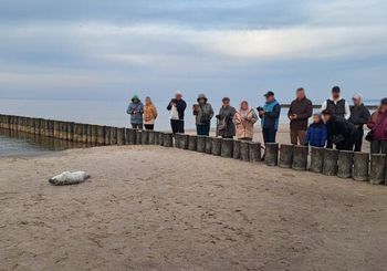 Pierwsza znaleziona w tym roku. "Najlepszą pomocą jest dystans"