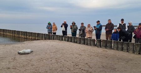 Pierwsza znaleziona w tym roku. "Najlepszą pomocą jest dystans"