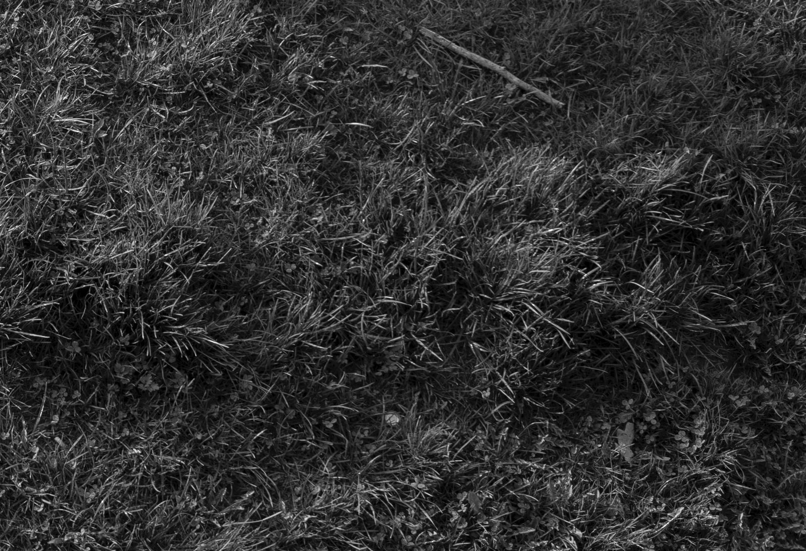 Czy można jaśniej? Sprawdzam obiektyw Voigtlander Nokton 35 mm f/1.2 Aspherical II 26