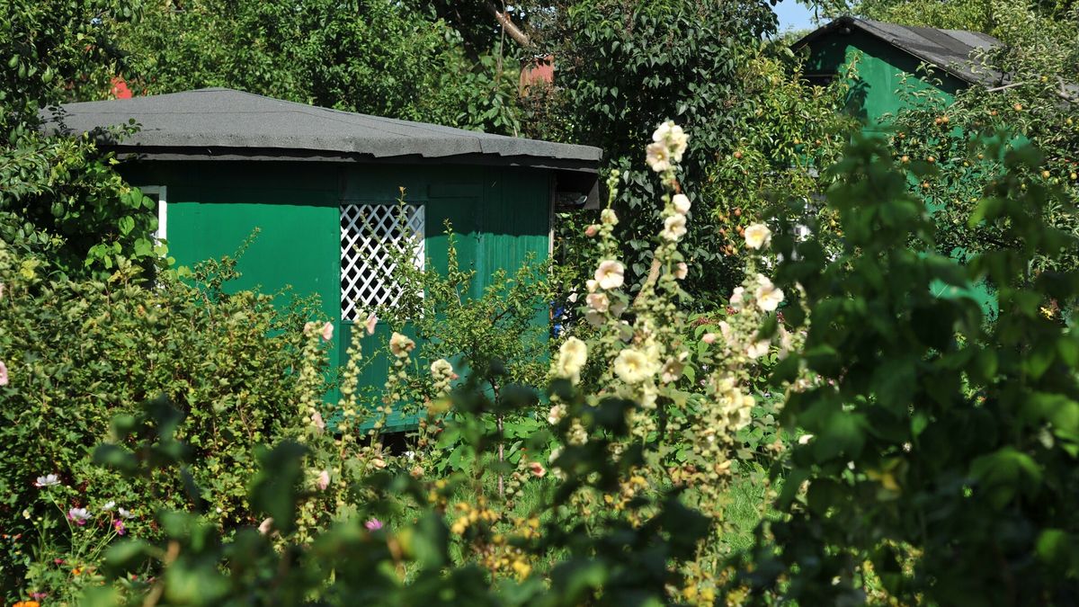 Czego nie można robić na działce ROD? 