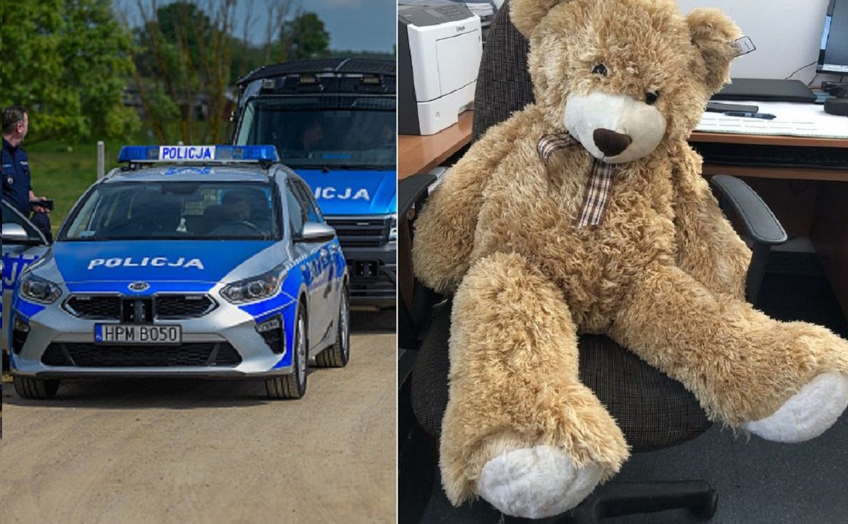 Pluszowy miś na jezdni