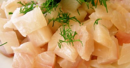 Tilapia - charakterystyka, zagrożenia