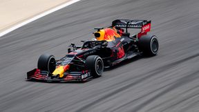 F1: Red Bull pozbył się utalentowanego juniora. Dan Ticktum może zapomnieć o wielkiej karierze