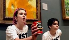Aktywistki ekologiczne oblały zupą "Słoneczniki" van Gogha. To protest przeciw wydobyciu ropy i gazu
