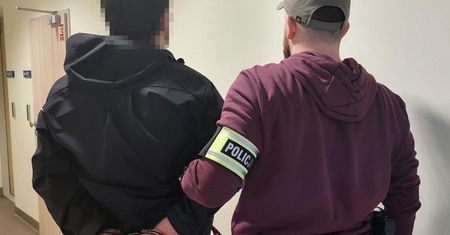 25-letni pedofil zatrzymany. Działał tzw. metodą child grooming