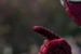''Niesamowity Spider-Man 2'': Sprawdź dziewięć nowych fotosów z planu