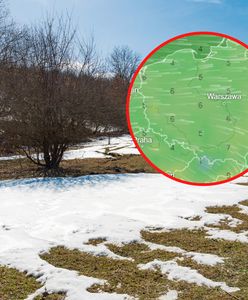 O stopni i śnieg. Do Polski dotrze arktyczne powietrze