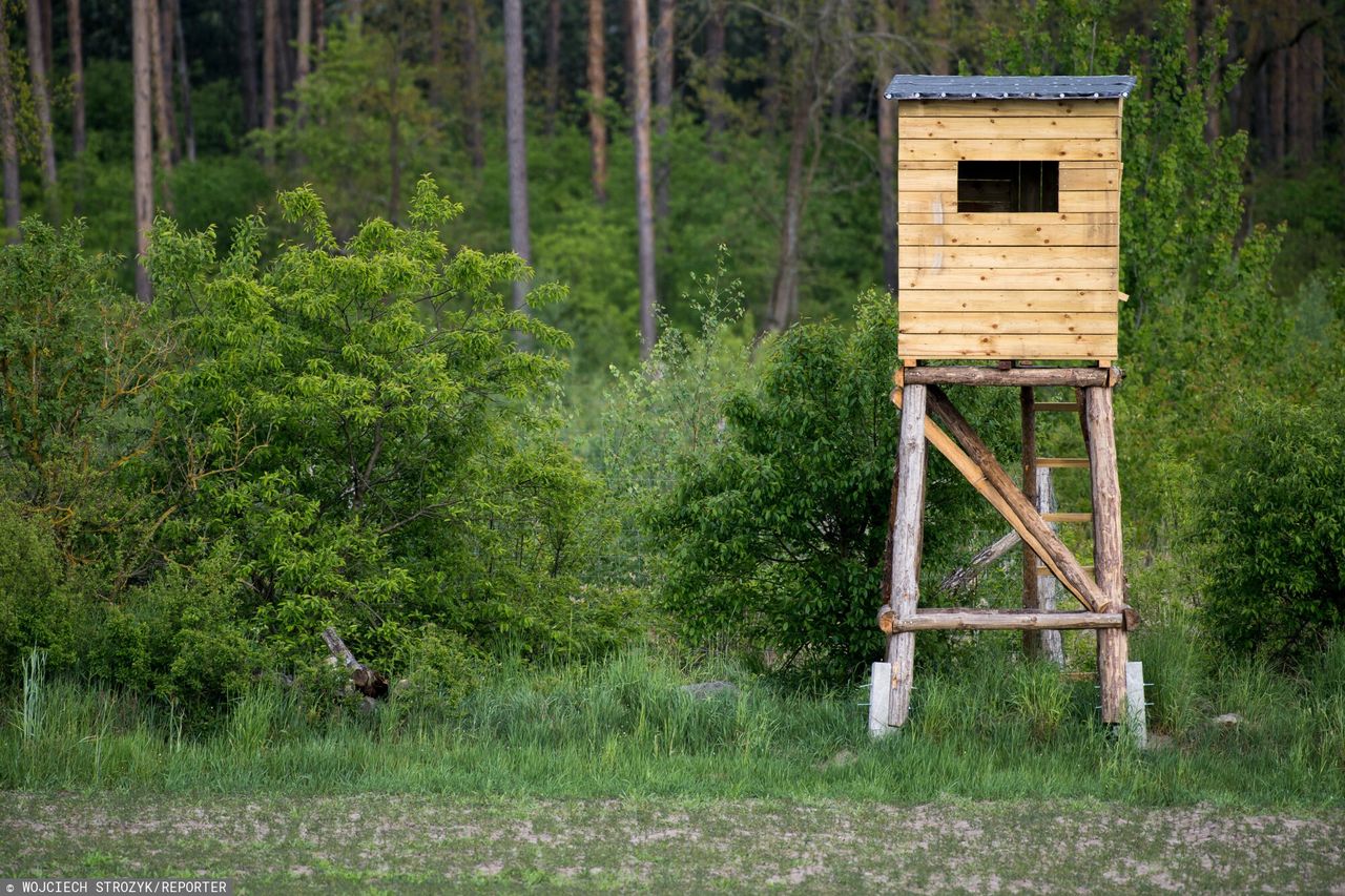 Wróg myśliwych schwytany. Możdżonek: Ktoś spadł z ambony