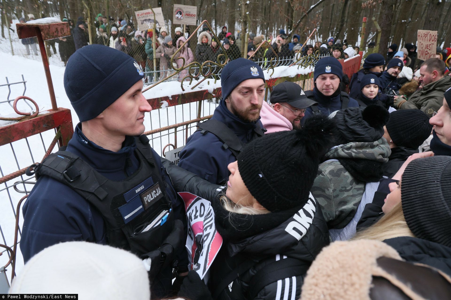wiadomości,aktualności,WP Wiadomości Schronisko w Sobolewie zamknięte. Psy trafią do innego województwa
