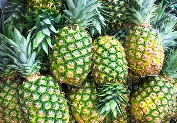 Krzyżówka z wiedzy ogólnej dla orłów. Sprawdź, czy jesteś wśród nich