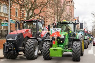 900 mln zł dla rolników poszkodowanych przez import zboża z Ukrainy