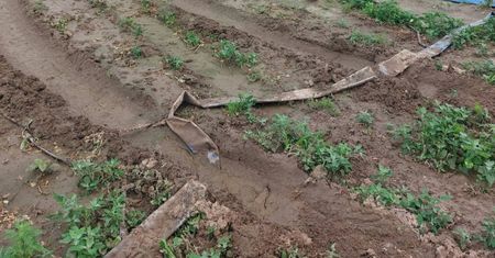 "Są ludzie i ludziska". Rolniczka nie wytrzymała i pokazała pole
