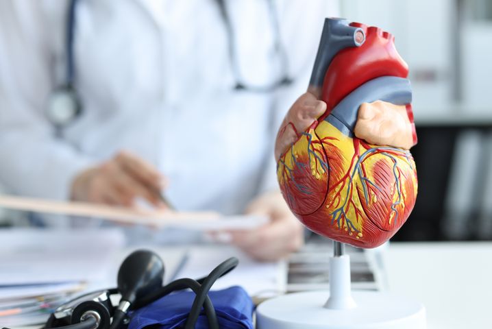 Kardiomegalia to stan powiększenia serca.