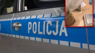 Człuchów: Plantacja ukryta w budynku gospodarczym. Policjanci znaleźli krzewy konopi, 22-latek usłyszał zarzuty