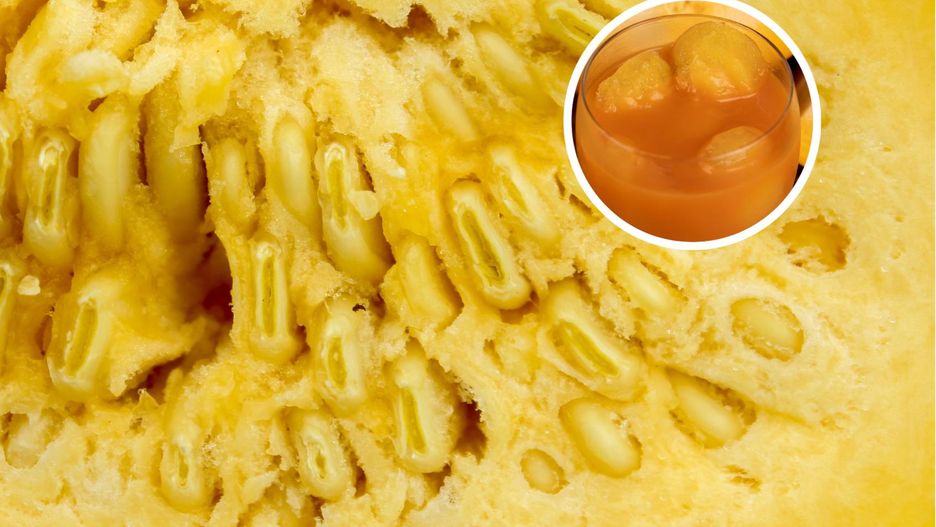 Miąższ dyni w zielarskiej apteczce