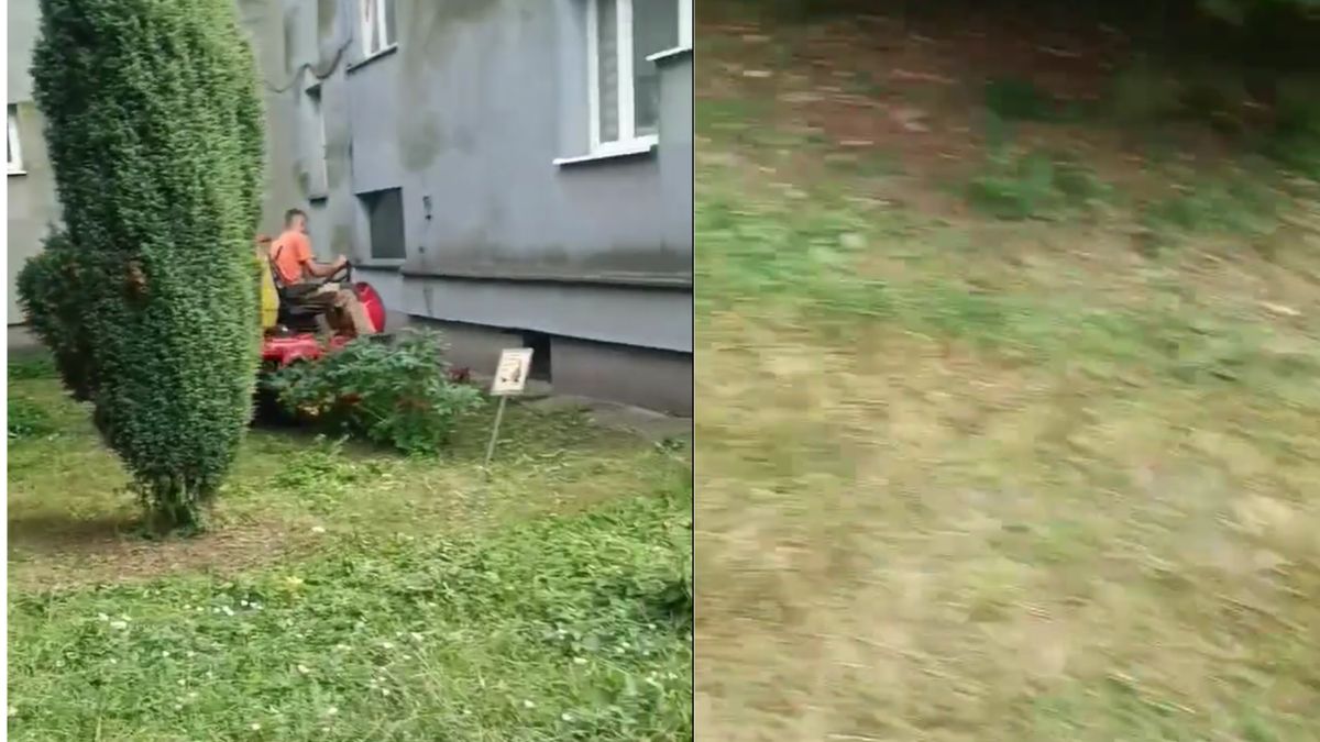 Pokazał filmik z koszenia trawy. W sieci burza